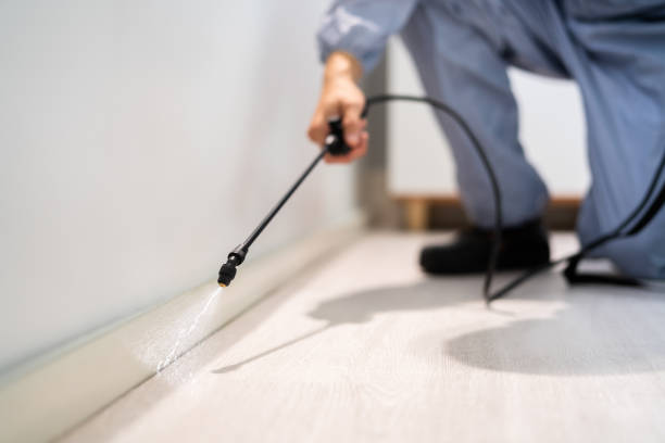 Licensed Pest Control service in Spring Hope, NC - Show Me Pest Control