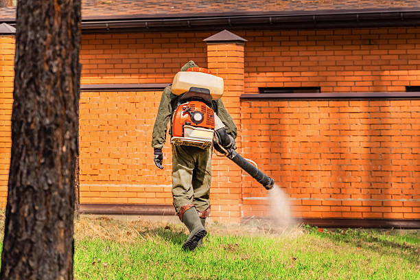 Bed Bug Clearance Verification and Documentation in Spring Hope